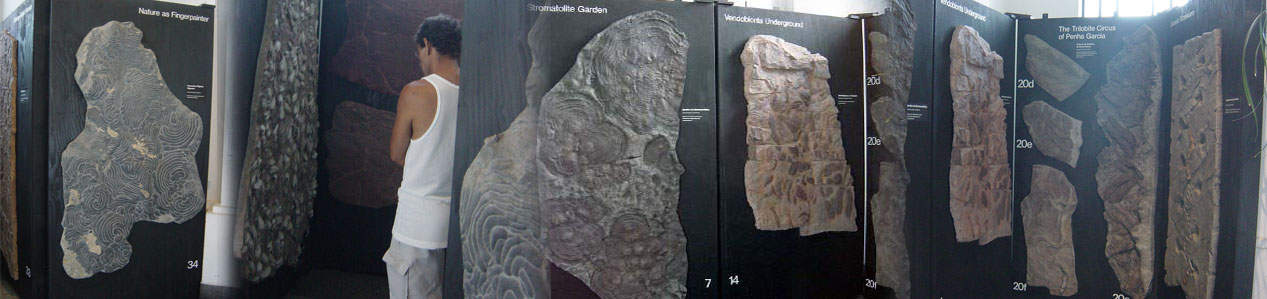 Arte Fóssil