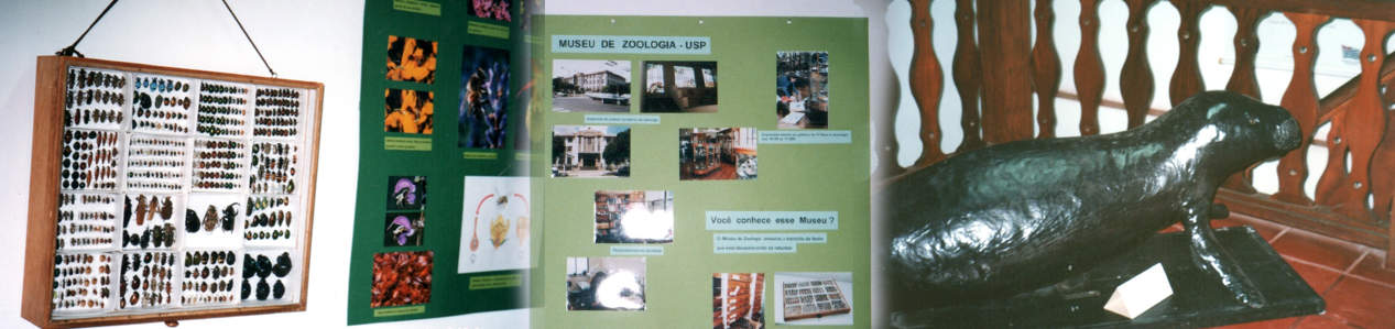Você conhece esse museu?