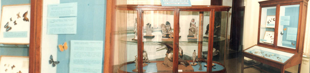 A fauna dos parques de São Paulo