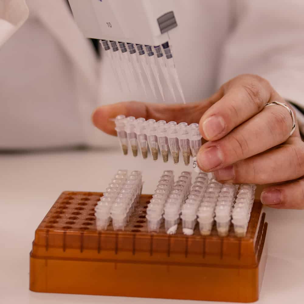 Biologia Molecular