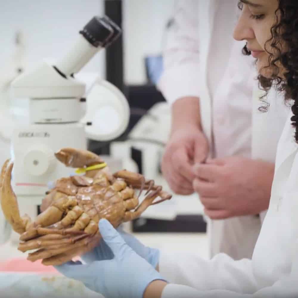 Coleções Científicas, Orientações e Procedimentos