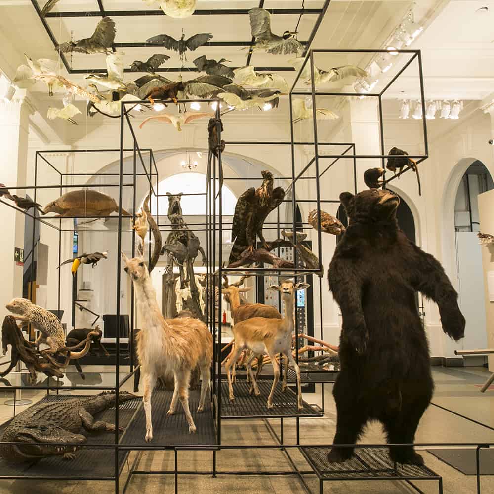 Exposições