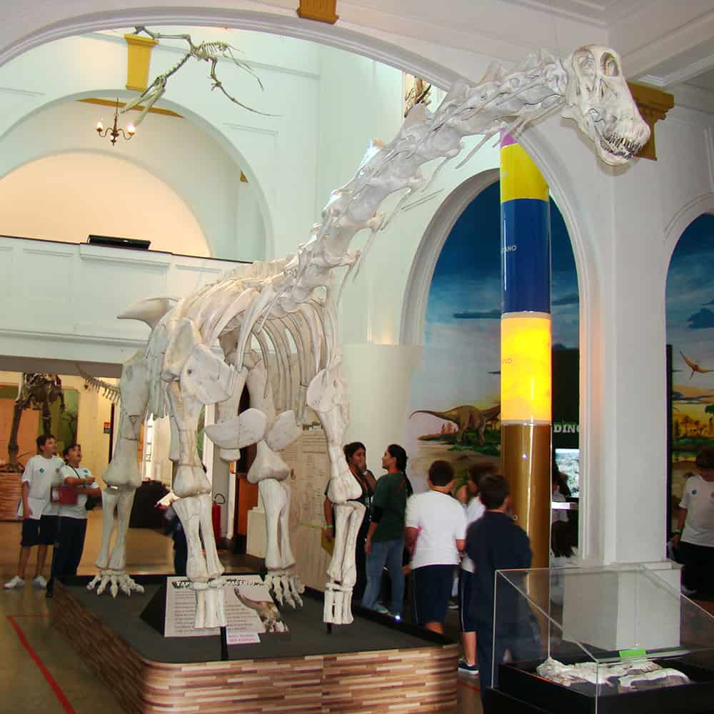 Exposições Temporárias