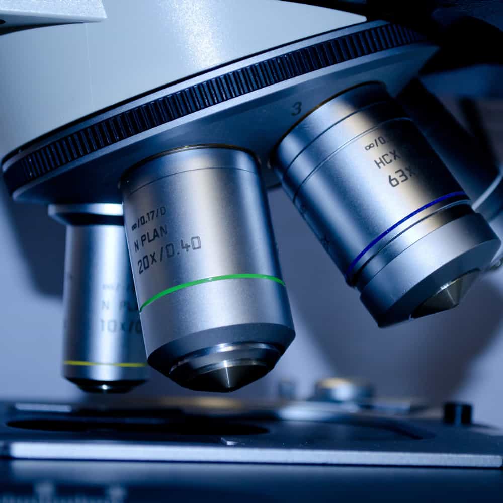 Histologia