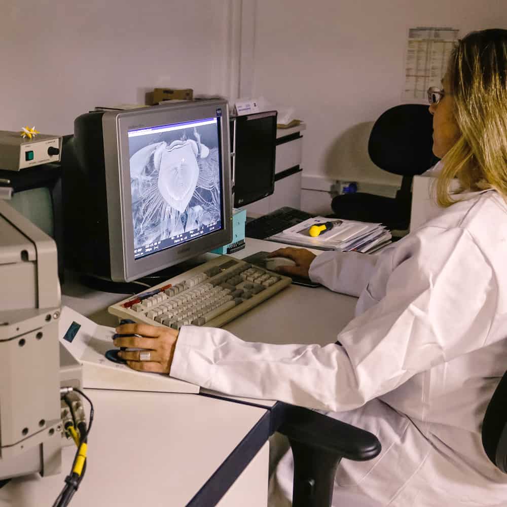 Microscopia Eletrônica de Varredura