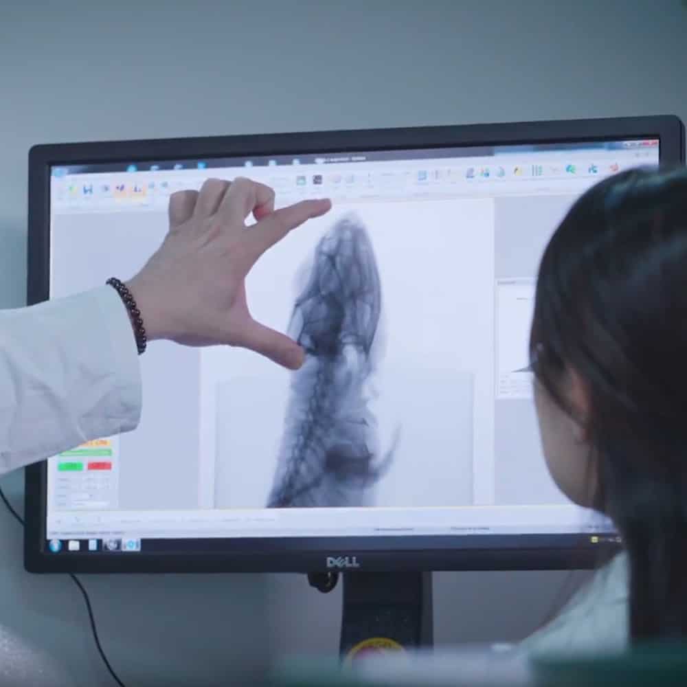 Microtomografia