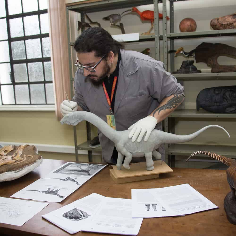 Museologia